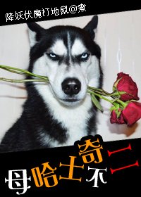 母哈士奇不二!